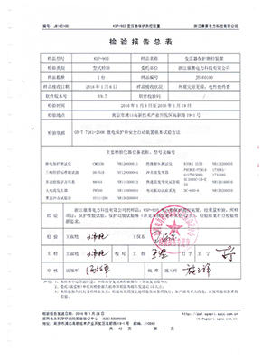 綜保檢驗(yàn)報(bào)告總結(jié)4